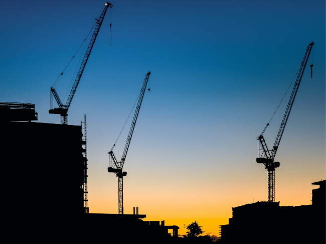 Project Management & Consulting